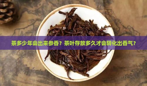 茶多少年会出来参香
