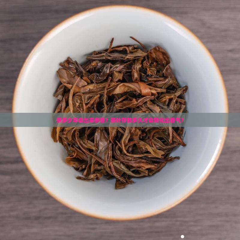 茶多少年会出来参香