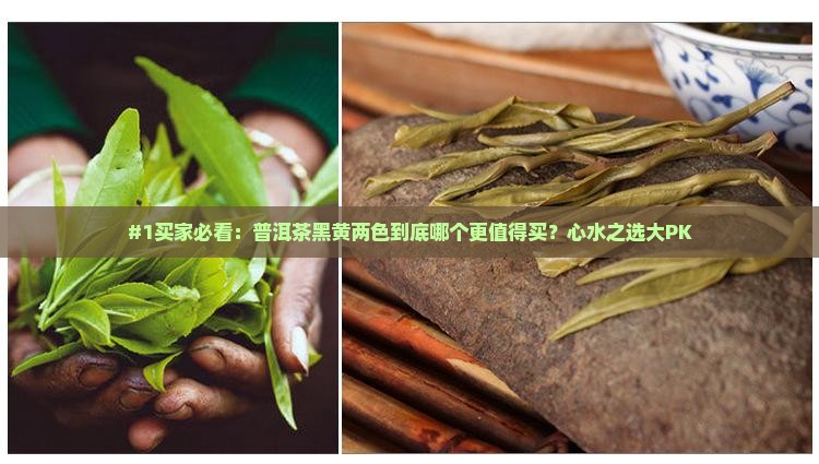 普洱茶黑色和黄色哪个好