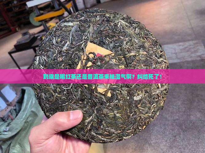 祛湿气喝红茶还是普洱茶