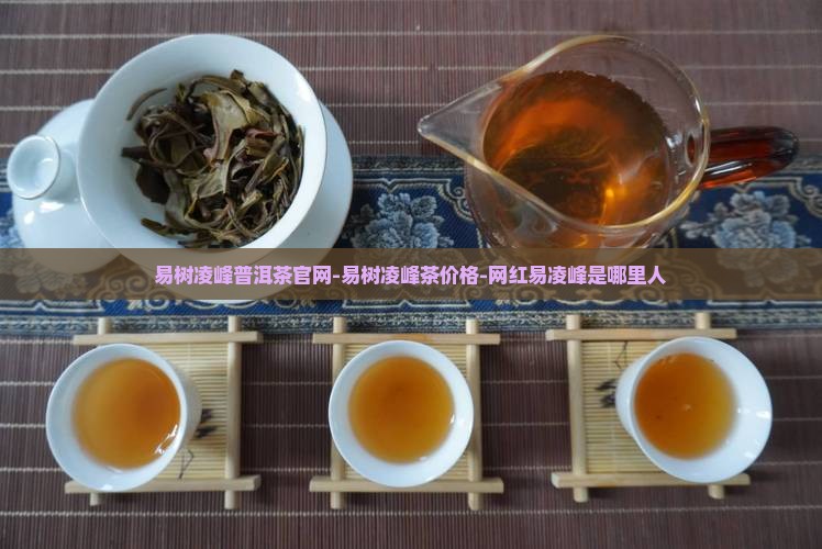 易树凌峰普洱茶官网