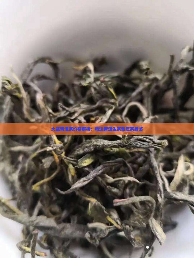 大益普洱茶生茶紧压茶