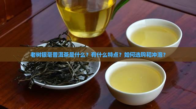 老树银毫普洱茶