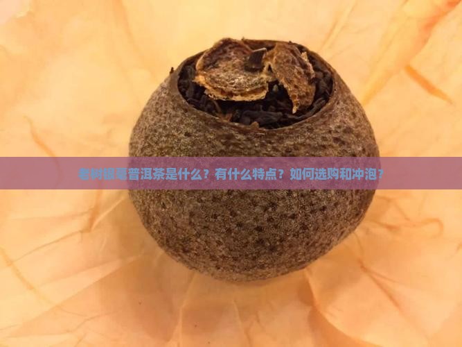 老树银毫普洱茶