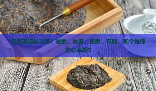 普洱茶易武冰岛班章布朗