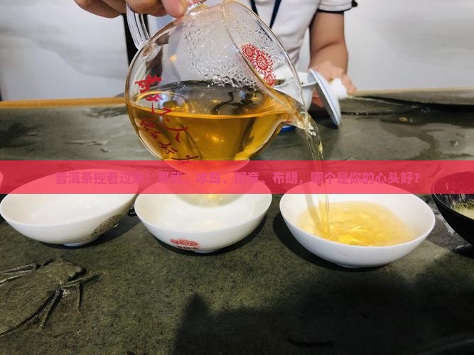 普洱茶易武冰岛班章布朗