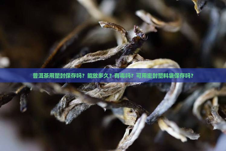 普洱茶用塑封保存吗