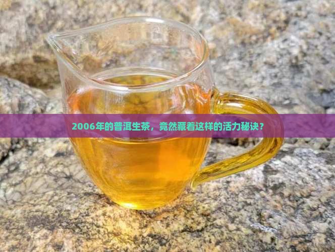 普洱茶可以兴2006生茶