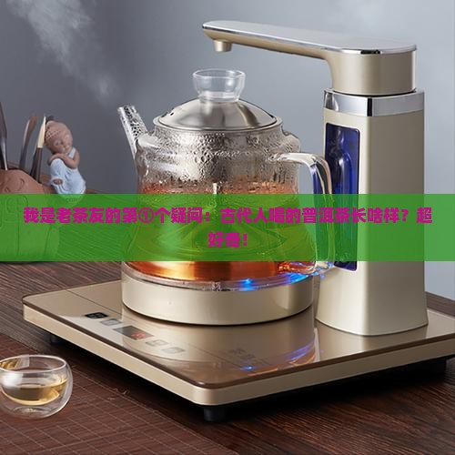 普洱茶的前身是什么