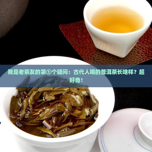普洱茶的前身是什么