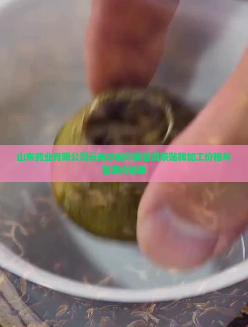 云南冰岛印象普洱茶价格表