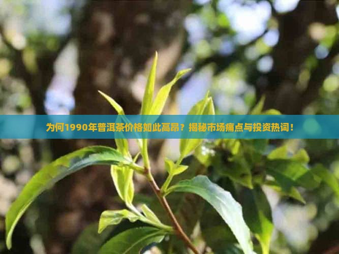 1990的普洱茶价位