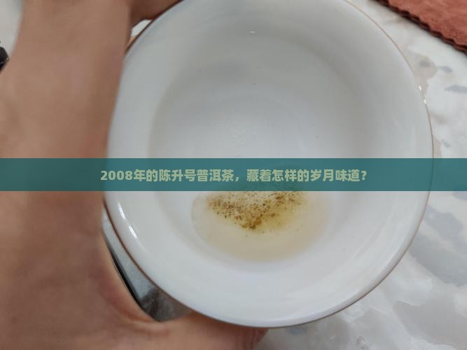 陈升号普洱茶2008年