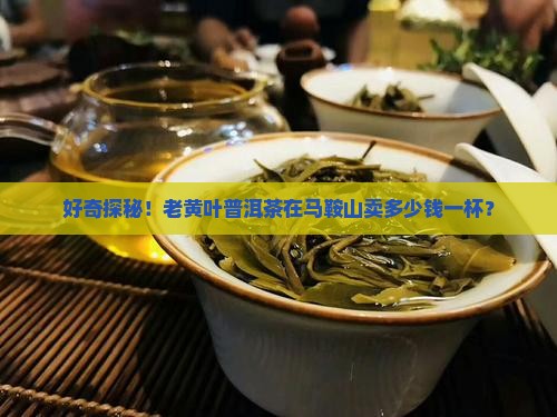 老黄叶普洱茶马鞍山普洱茶报价