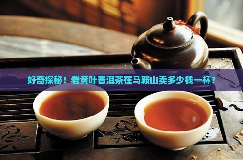 老黄叶普洱茶马鞍山普洱茶报价