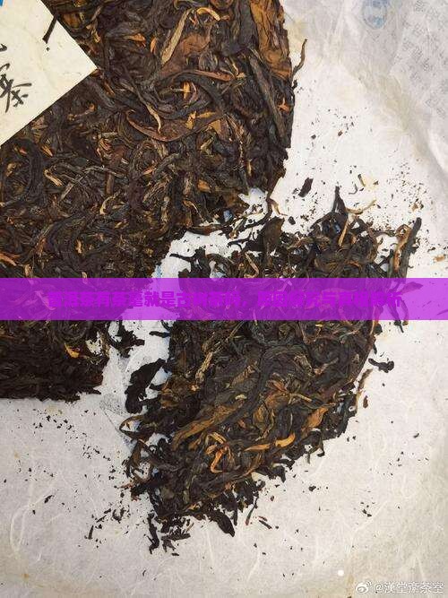 普洱茶有茶毫就是古树茶吗