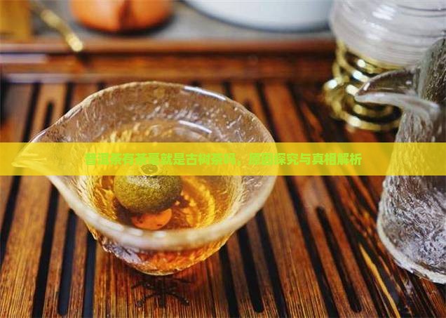 普洱茶有茶毫就是古树茶吗