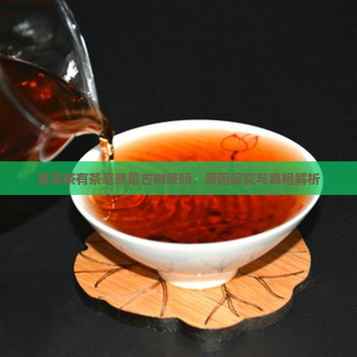 普洱茶有茶毫就是古树茶吗