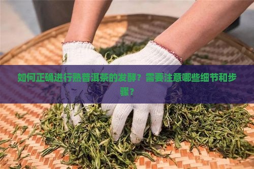 熟普洱茶堆怎么发酵