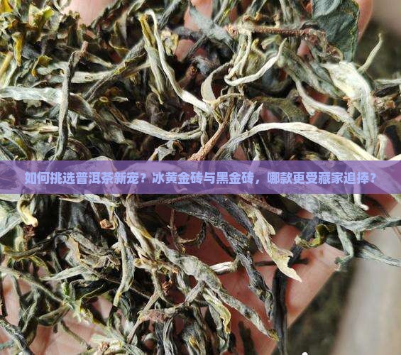 普洱茶冰黄金砖黑金砖