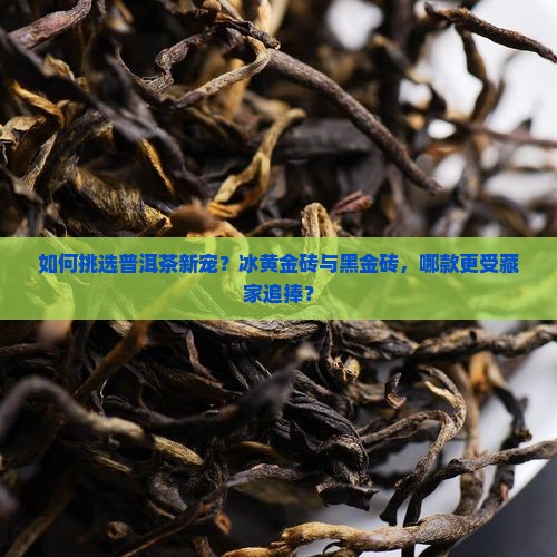 普洱茶冰黄金砖黑金砖