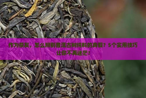 普洱茶古树纯料标识是什么