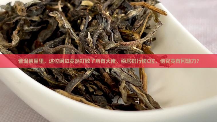 普洱茶界网红排名第几