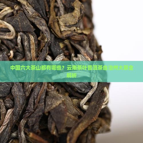 中国六大茶山都有哪