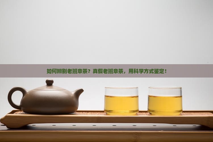 老班章茶的辨别