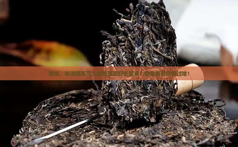 茶马人家普洱茶的好处