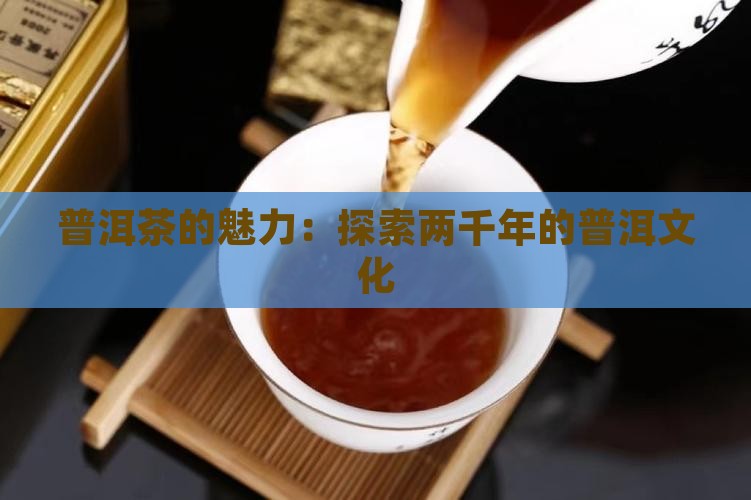 两千年的普洱茶