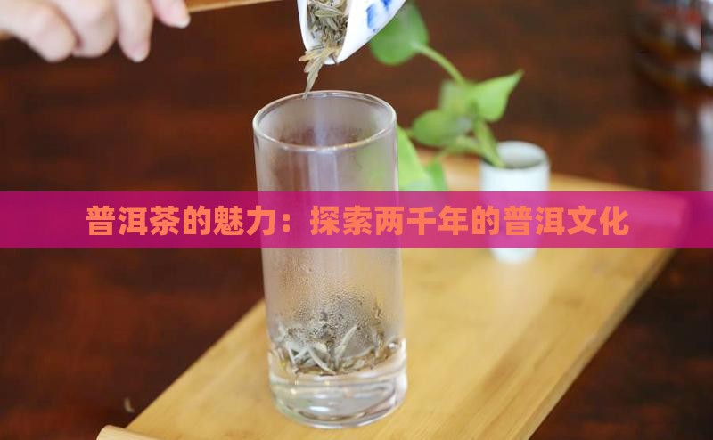 两千年的普洱茶