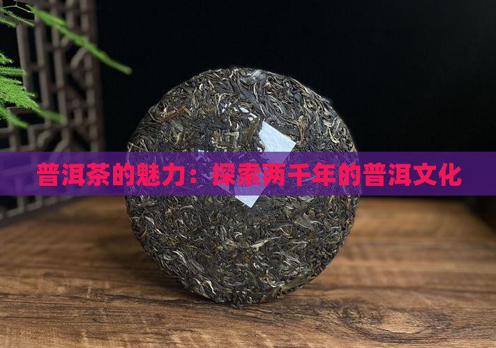 两千年的普洱茶