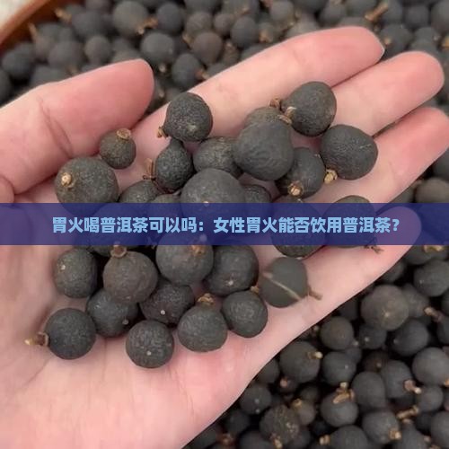 胃火喝普洱茶可以吗