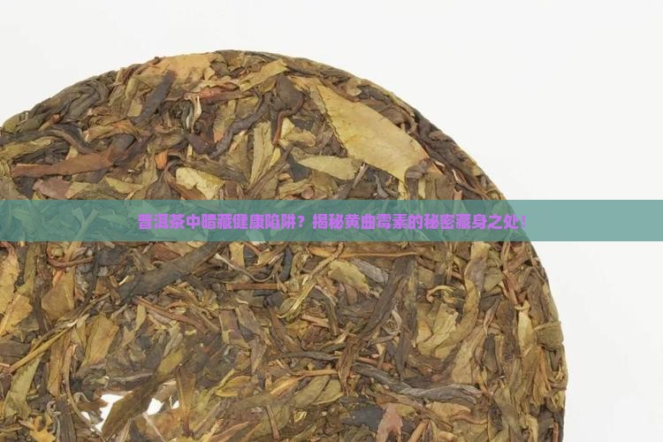 普洱茶湿仓黄曲霉素