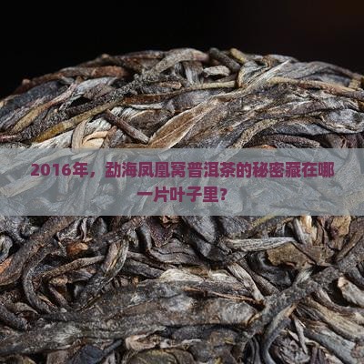 勐海凤凰窝普洱茶2016