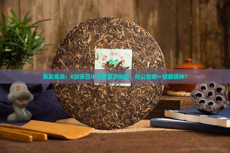 赤日中天普洱茶新品