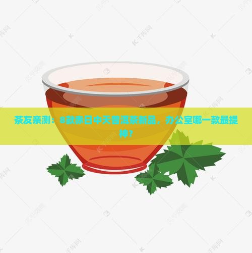 赤日中天普洱茶新品