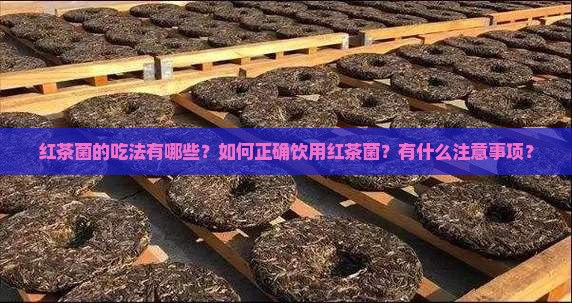 红茶菌的吃法有哪些