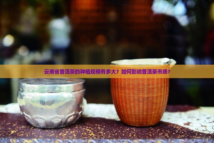 云南省普洱茶的种植规模
