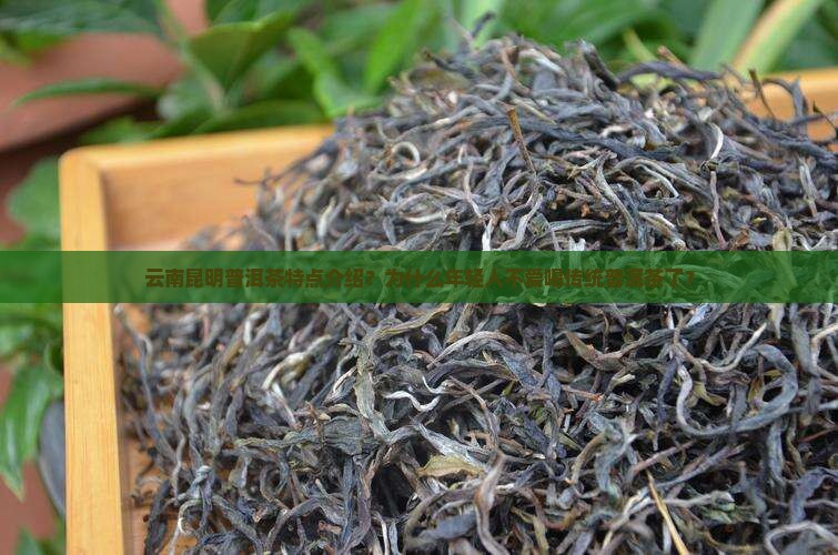 云南昆明普洱茶特点介绍