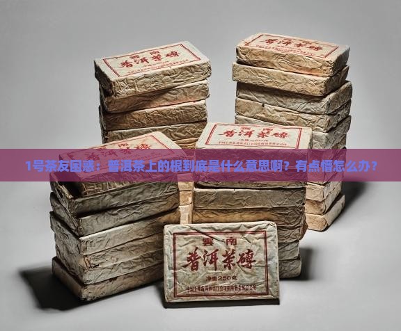 普洱茶上根是什么意思啊