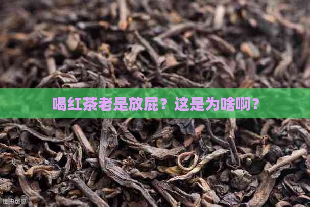 喝红茶爱放屁怎么回事