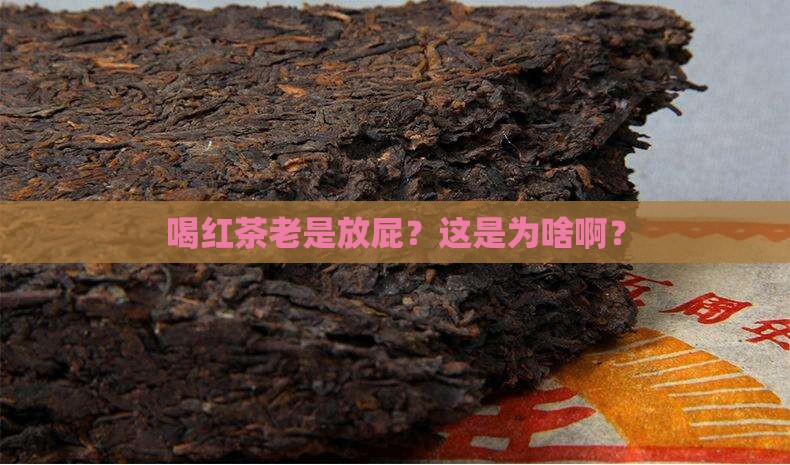 喝红茶爱放屁怎么回事
