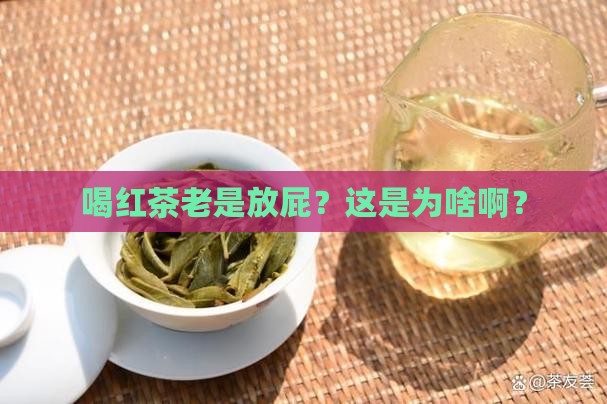 喝红茶爱放屁怎么回事