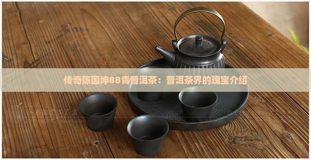 陈国坤88青普洱茶介绍