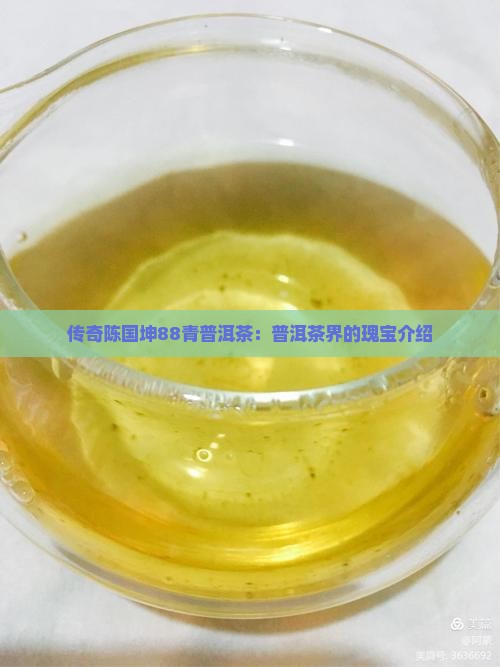 陈国坤88青普洱茶介绍