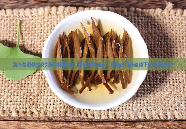 勐海普洱茶金芽