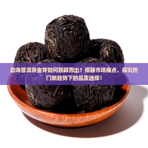 勐海普洱茶金芽