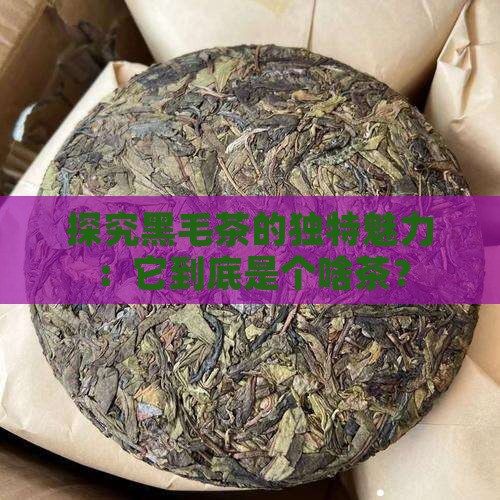 黑毛茶属于什么茶类